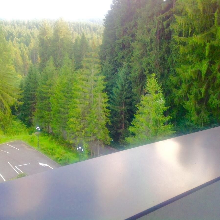 Отель Hotel Hart Предял